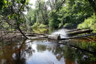 Фильтр RiverScreen